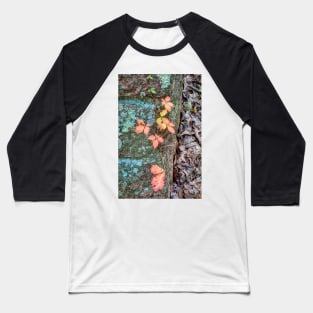 Elephant Rocks Study 5 Baseball T-Shirt